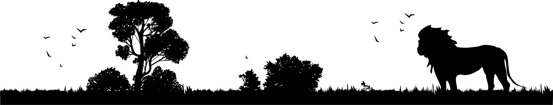 footer-top-img