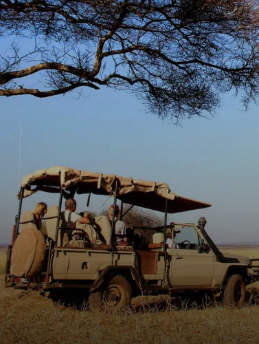 7 Days Safari