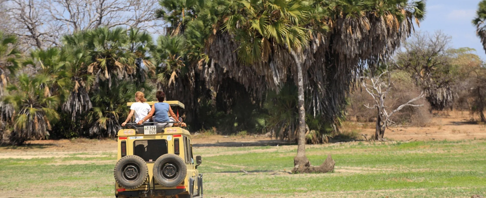 January Safari