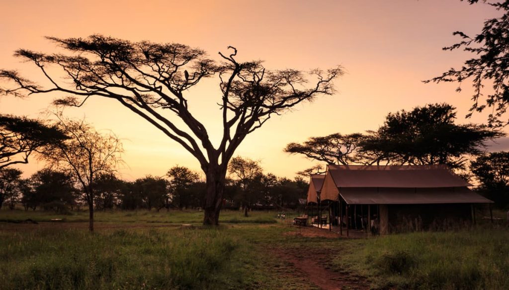 How to Choose the Best Family Safari Lodges in Tanzania